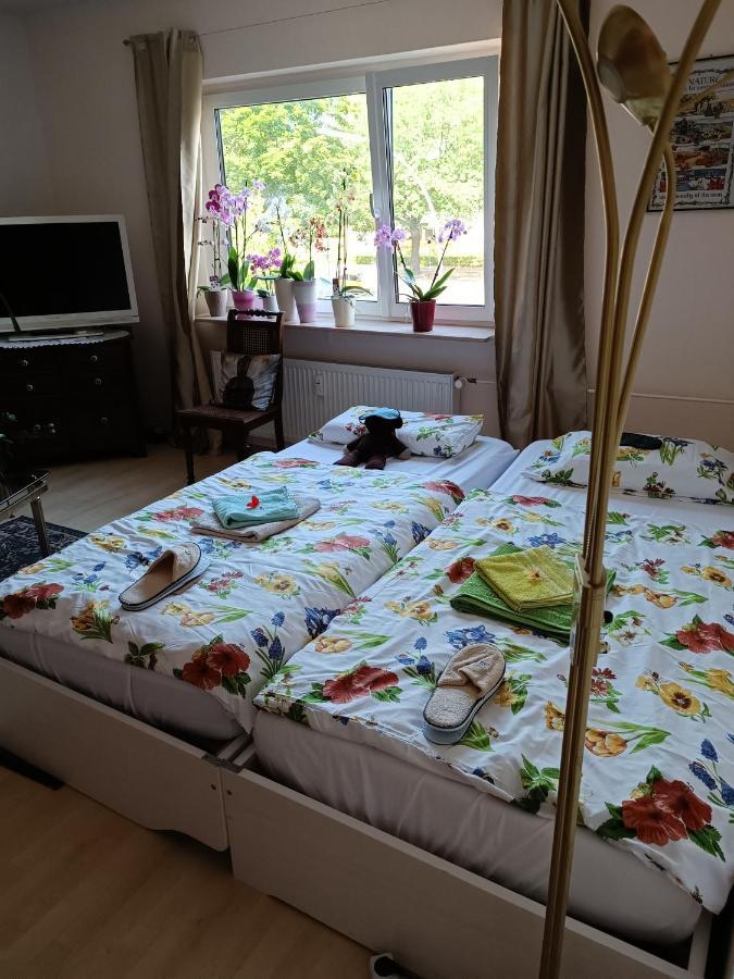 Weltoffenes Privates Gaestezimmer Bei Lgbtq Freundlichen Gastgeber Der Mit In Der Lebt Alloggio in famiglia